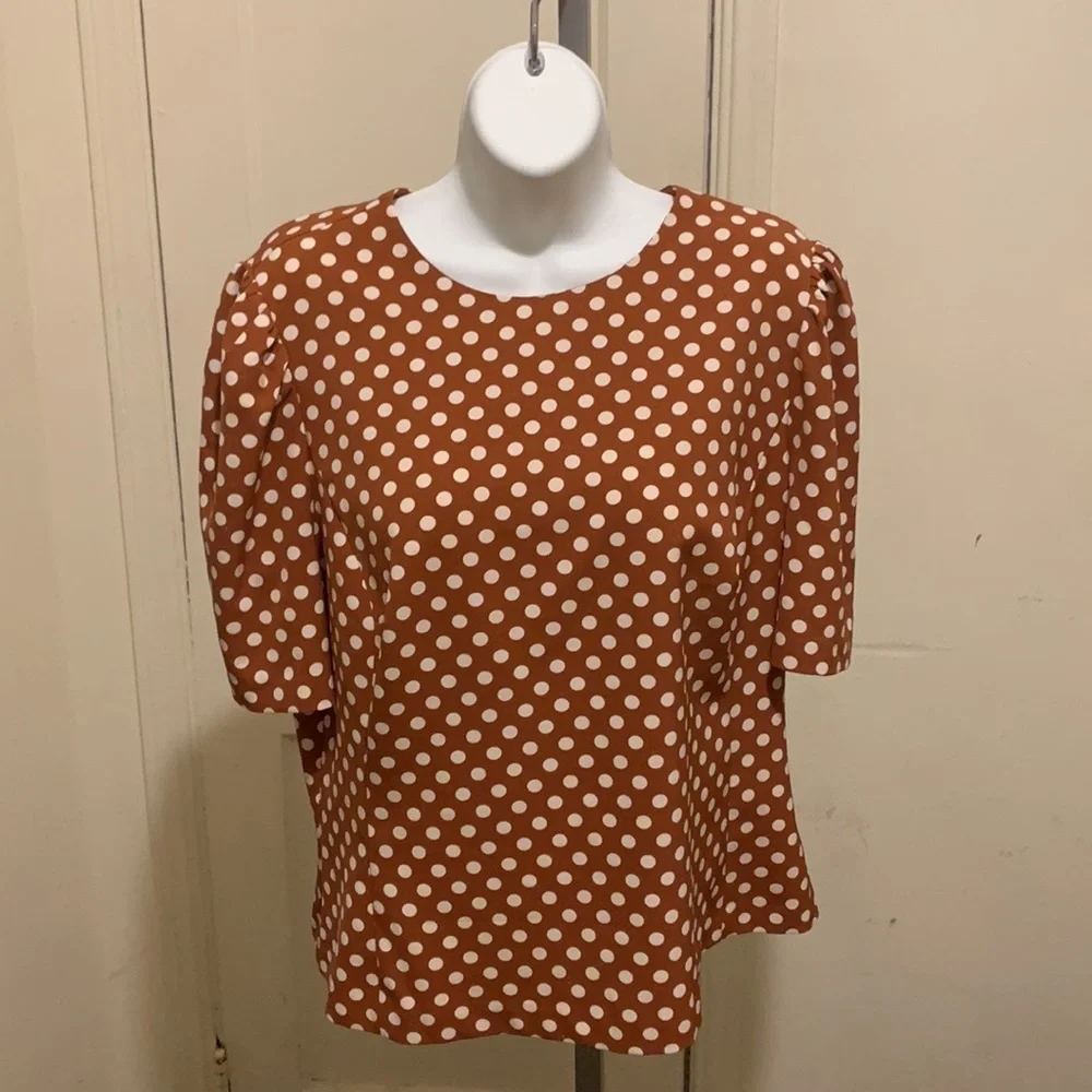 Eva Mendes NY&Co 2 Piece Outfit - Picture 4 of 10